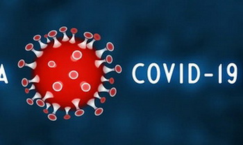 Коронавирус в Ленобласти: за последние сутки выявлено 218 новых случаев