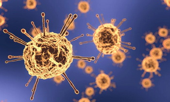 Коронавирус выявили в 98 населенных пунктах Ленобласти