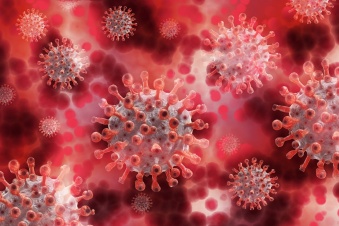 Коронавирус в Ленобласти: за последние сутки выявлено 379 новых случаев