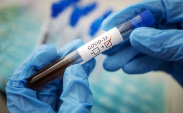Коронавирус в Ленобласти: за последние сутки выявлено 242 новых случая