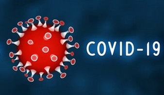 Коронавирус в Ленобласти: за последние сутки выявлено 222 новых случая