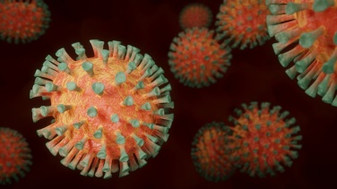 Коронавирус в Ленобласти: за последние сутки выявлено 419 новых случаев