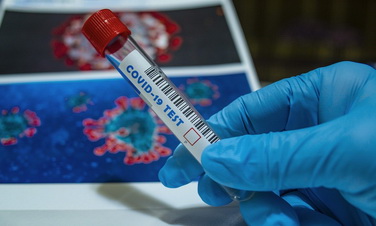 Коронавирус в Ленобласти: за последние сутки выявлено 229 новых случаев