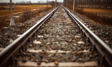 Полицейские раскрыли кражу железнодорожных рельсов в Гатчинском районе