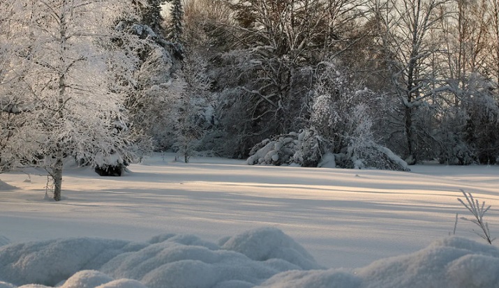 Прогноз погоды и ледообразование в СПб и Ленобласти на 11 января 2021 года