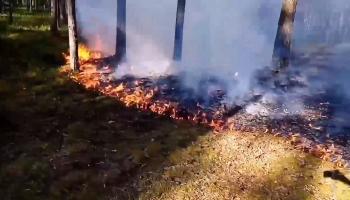 Ленобласти грозят пожары