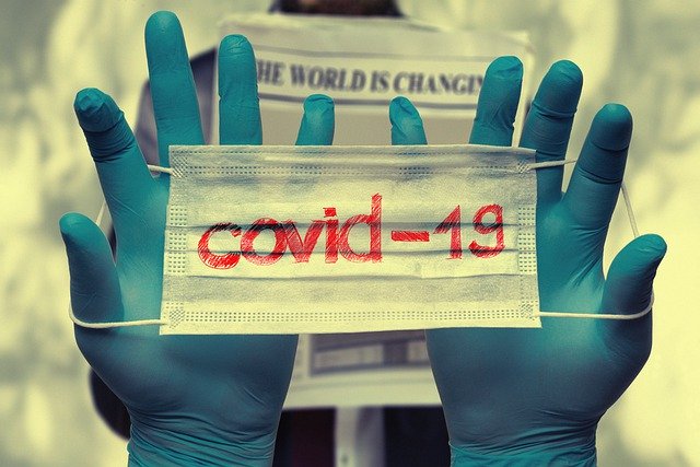 Коронавирус в Ленобласти: за последние сутки выявлен 31 новый случай