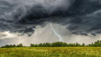МЧС предупреждает о грозах и сильном ветре в Ленобласти