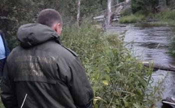 В Каменногорске мужчина убил человека и сбросил тело в ручей