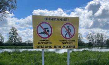 Где в Гатчинском районе запрещено купаться